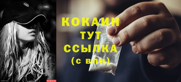 прущие грибы Богородск