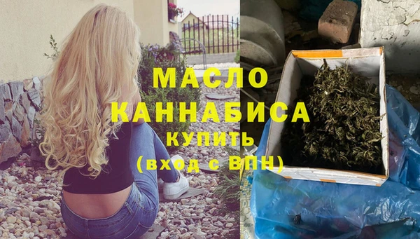 mix Богородицк
