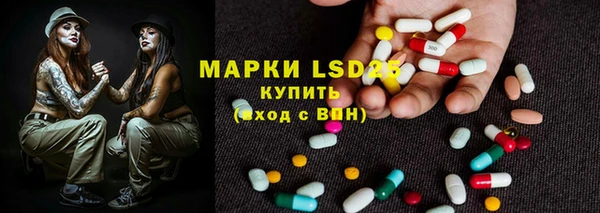 прущие грибы Богородск