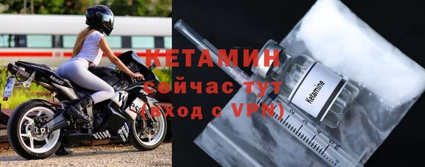 прущие грибы Богородск
