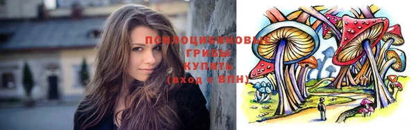дживик Богданович