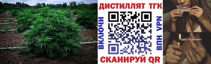 Дистиллят ТГК вейп с тгк  OMG ТОР  Мезень 